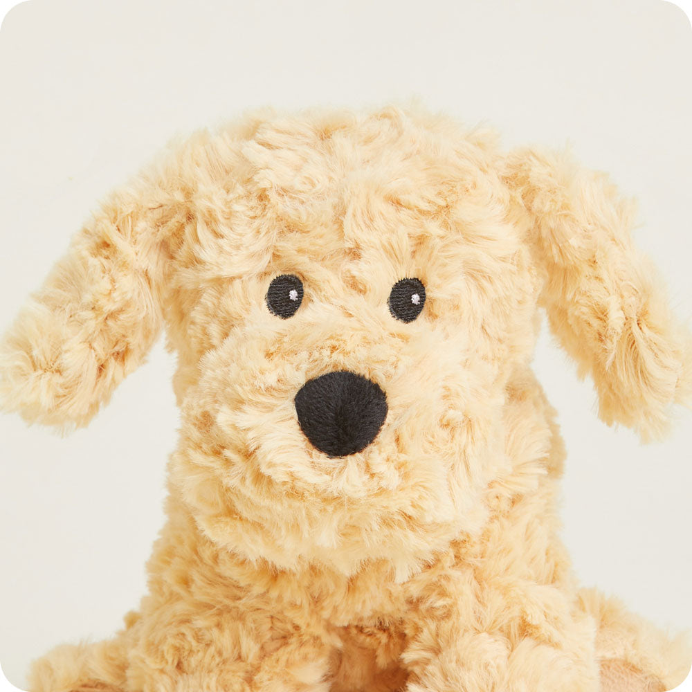Golden Dog Stuffed Animal Warmies Junior