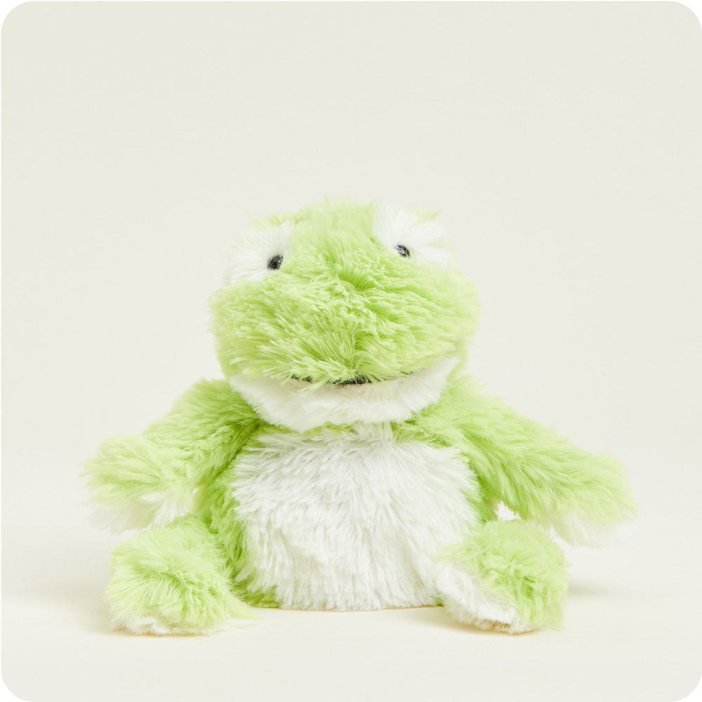 Microwavable Frog Stuffed Animal Warmies Junior