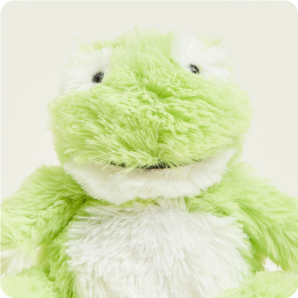Frog Stuffed Animal Warmies Junior